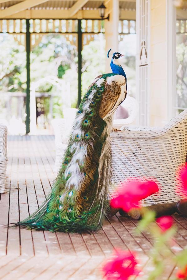 Dalblair Bed & Breakfast Seville Zewnętrze zdjęcie