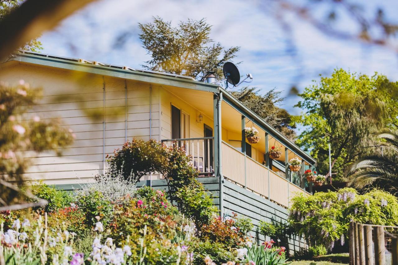Dalblair Bed & Breakfast Seville Zewnętrze zdjęcie